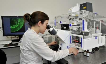 Definirá Senado ruta para los programas y metas en investigación científica e innovación