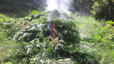 En Coatecas Altas, Ejutla