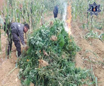 En Coatecas Altas, Ejutla