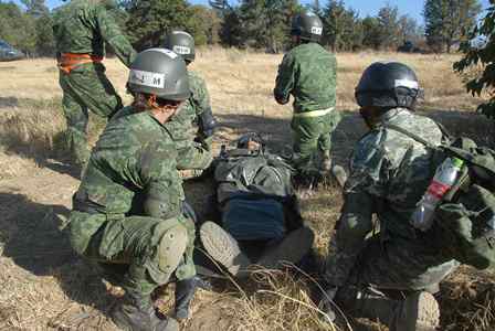 La población sigue confiando en su Ejército y Fuerza Aérea, encuesta