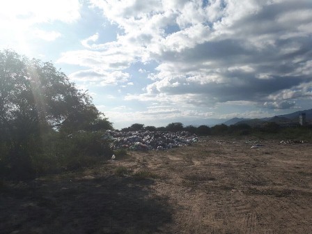 En la región de Valles Centrales