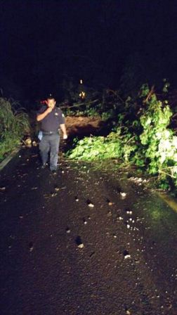 Provocan lluvias deslaves de cerros y crecida de ríos en Oaxaca