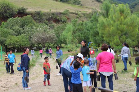 Impulsan el cuidado forestal en el Parque “Benito Juárez”
