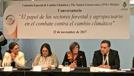 Presentan estudio de 15 instituciones vinculadas al medio ambiente