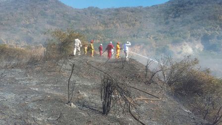 Consume incendio unas dos hectáreas de pastizales en Salina Cruz