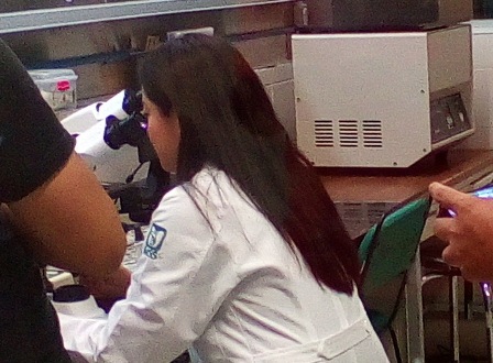 Realiza IMSS-Oaxaca en promedio siete mil 333 estudios de laboratorios al día