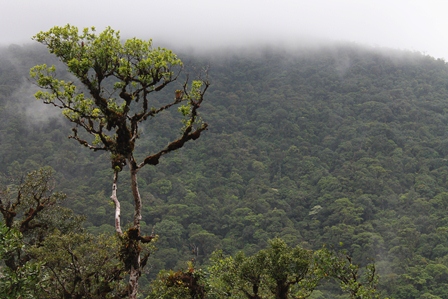 México, primer país mega diverso, al incorporar Protocolo de Nagoya sobre acceso a recursos genéticos