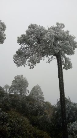 Bajas temperaturas en Oaxaca