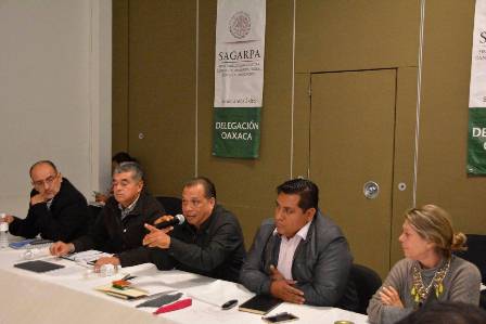 Destinó SAGARPA en 2017 más de 292 mil mdp en beneficio de sector agroalimentario de Oaxaca