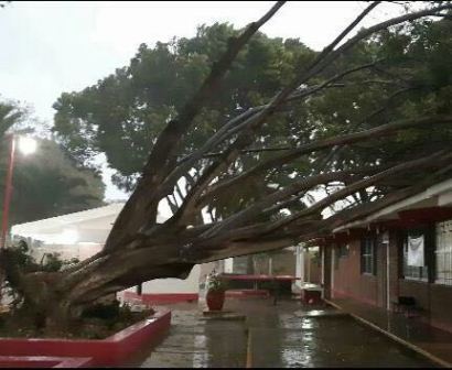 Pide CEPCO mantener la calma