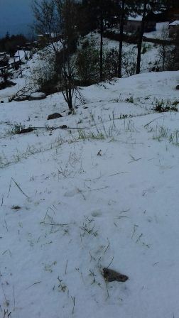 Implementa Protección Civil operativo en Metepec por daños de granizada