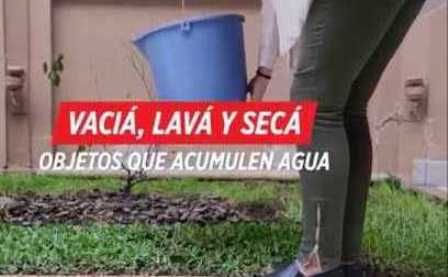 Mantiene IMSS cerco sanitario para prevenir dengue en la región del Istmo