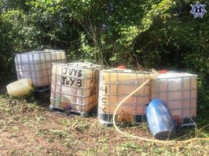 Revisiones en todo el estado