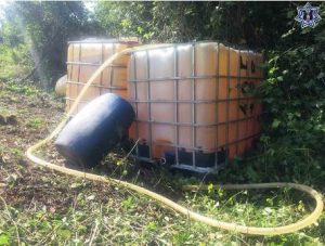 Los hechos en el Istmo de Tehuantepec y la Cuenca del Papaloapan.