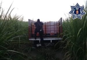 El hallazgo se realizó en inmediaciones de las comunidades de Refugio Viejo y Palma Sola.