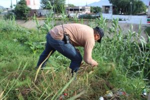 Participaron habitantes de esta demarcación y personal del Ayuntamiento.