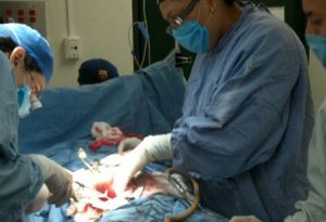 Realiza IMSS por tercera ocasión