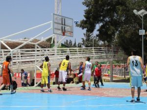 Sección 73 Paludismo