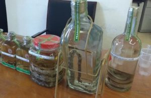 “boom” mezcalero en Oaxaca