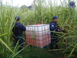 En la Cuenca del Papaloapan