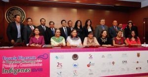 Insuficiente acción del Estado