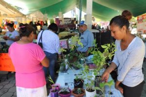 Niños, jóvenes y adultos mayores participaron también en el intercambio de plantas.