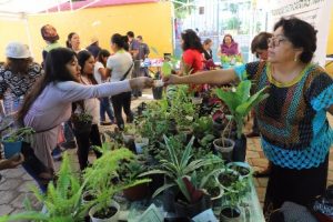 Realizó Gobierno de Xoxocotlán con éxito