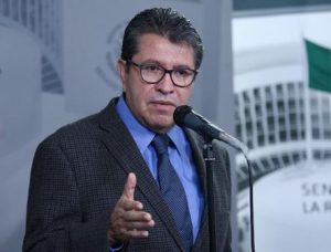 Coordinador de la Fracción Parlamentaria de Morena