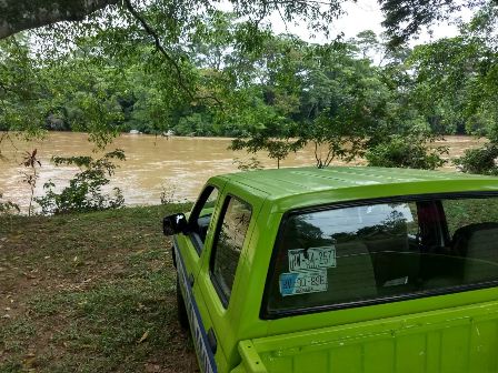 Dejan lluvias seis árboles caídos, inundaciones y desperfectos en vehículos en Oaxaca