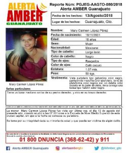 Desapareció en Guanajuato