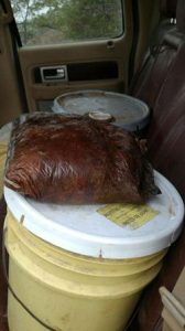 En Guanajuato y Guerrero