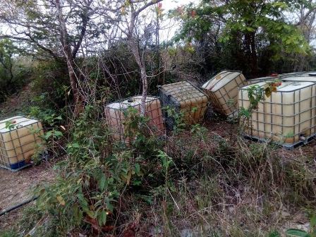 Aseguran 31 mil litros de gasolina, un tractocamión, cisterna y remolque en Tamaulipas