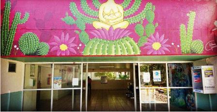 Brinda IMSS homenaje a la lactancia materna con el Mural “Mujer Biznaga”