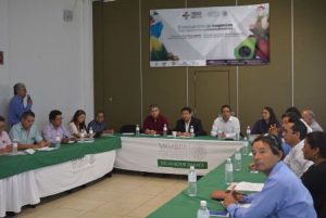 Inauguran el 14 de agosto