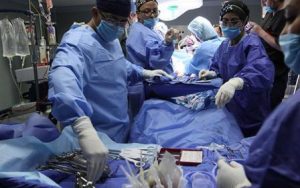 El Seguro Social realizó 70 por ciento de los trasplantes de corazón.