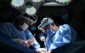 Cadavérica de órganos y tejidos