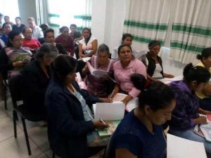 Participación en sector agrícola