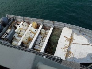 Vinculadas a proceso