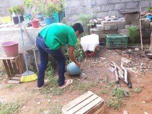 Plan de Intervención