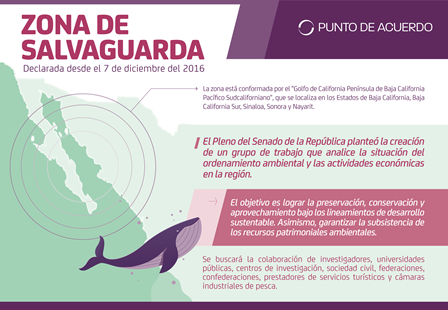 Plantean crear grupo de trabajo que analice situación de Zona de Salvaguarda