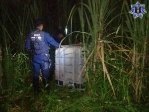 En la Cuenca del Papaloapan