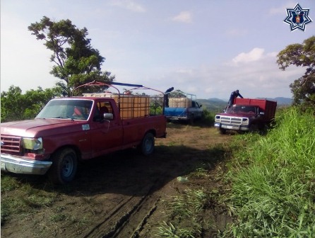 Buscan PGR y SESNSP eficientar combate nacional al robo de vehículos en el país