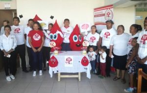 Décima segunda Campaña