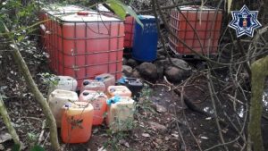 En la Cuenca del Papaloapan