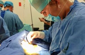 Familia de Michoacán