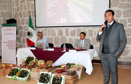 Beneficios fiscales para patrones y trabajadores eventuales del campo al incorporarse al IMSS