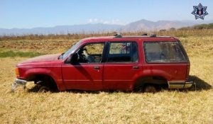 Reporte de robo vigente