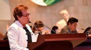 Diputada vocera de la Fracción Parlamentaria de Morena