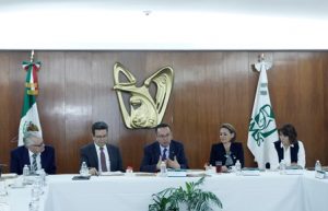 Director General del IMSS