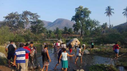 La región del Istmo de Tehuantepec, sin registro de paludismo en nueve años